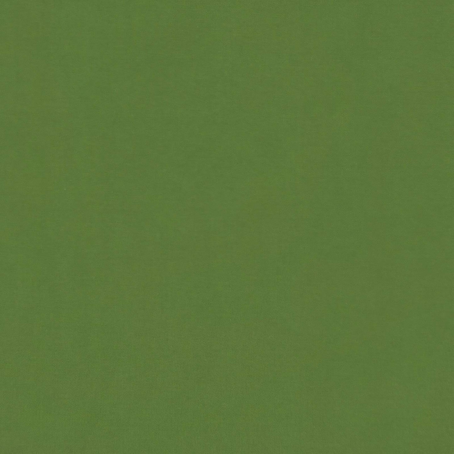 Pilna metų antklodė Tikštas Žalia 200 x 220 cm Mikropluoštas