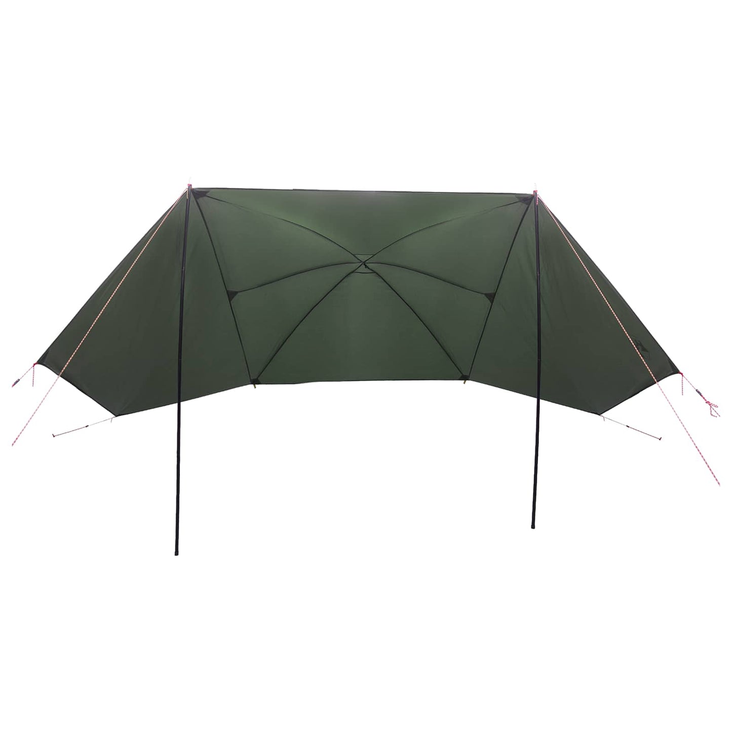 Automobilių palapinė su stogu Armijos Žalia 308 x 215 x 220 cm