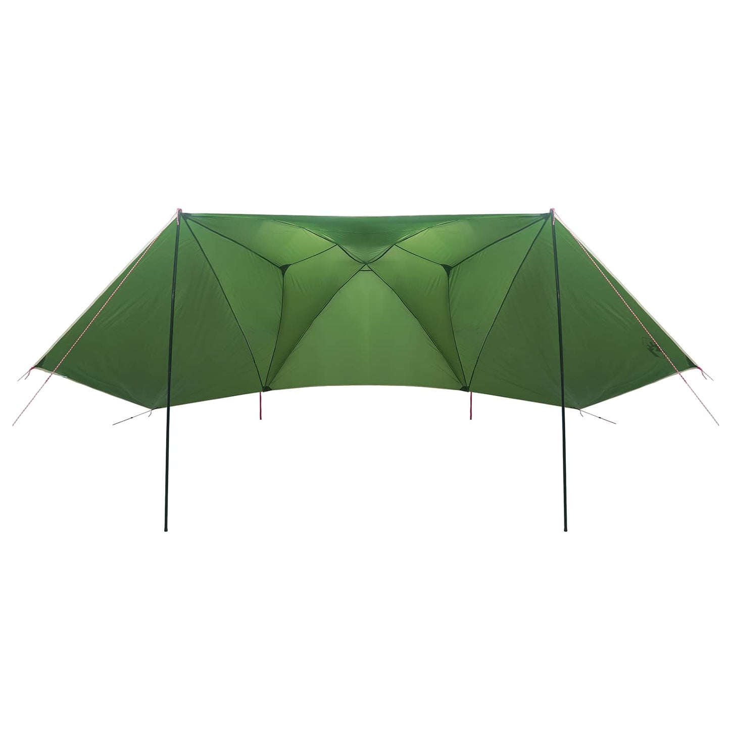 Automobilių palapinė Žalia 350 x 250 cm Poliesteris ir plienas
