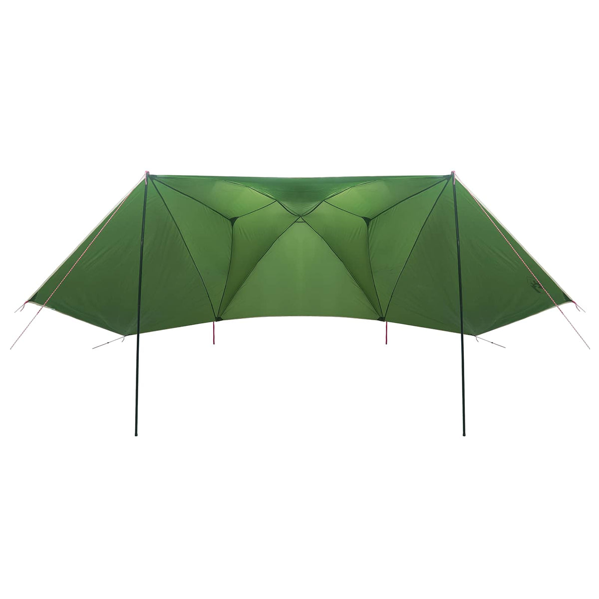 Automobilių palapinė Žalia 350 x 250 cm Poliesteris ir plienas