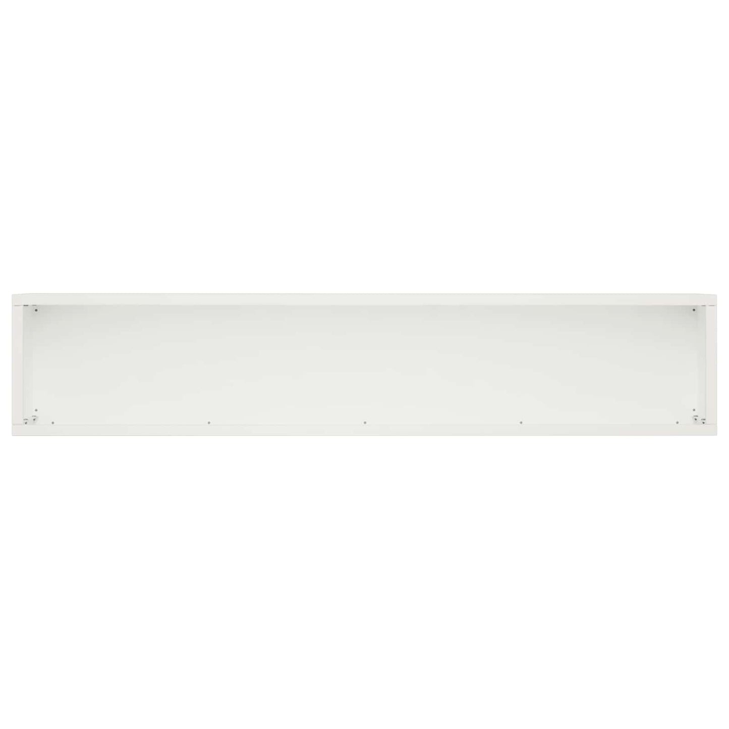 Sodo vazonas 2 vnt. Balta 100 x 20 x 20 cm