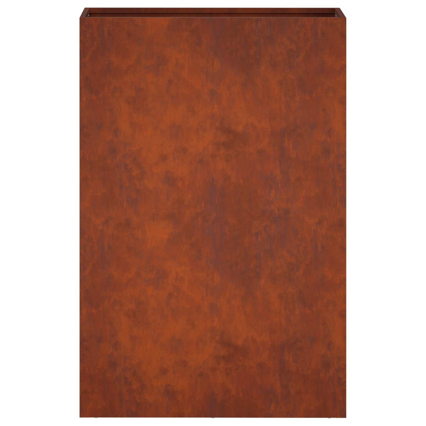 Sodo vazonas 2 vnt. Rūdijanti 40 x 20 x 75 cm