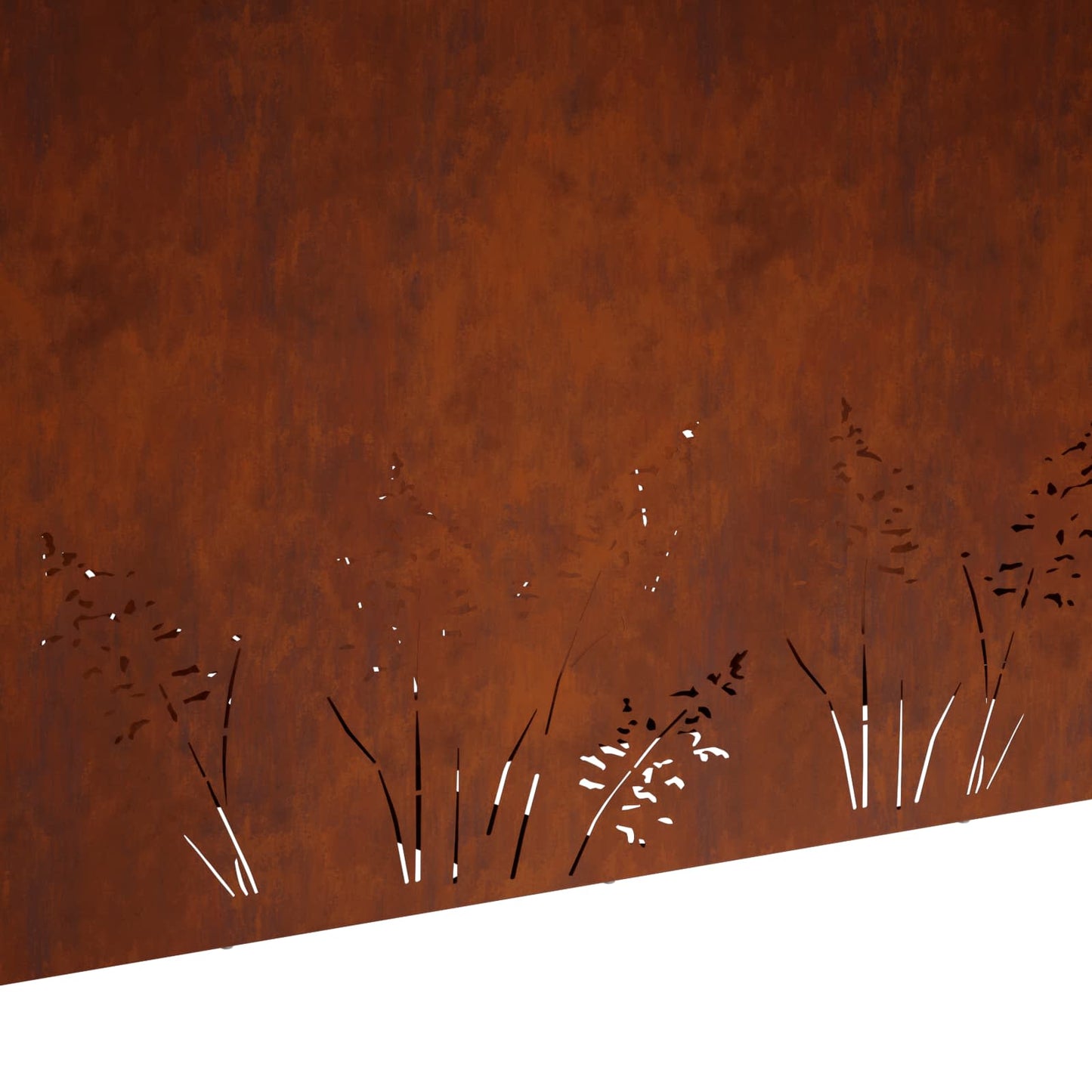 Sodo vazonas 2 vnt. Rūdijanti 100 x 20 x 49 cm