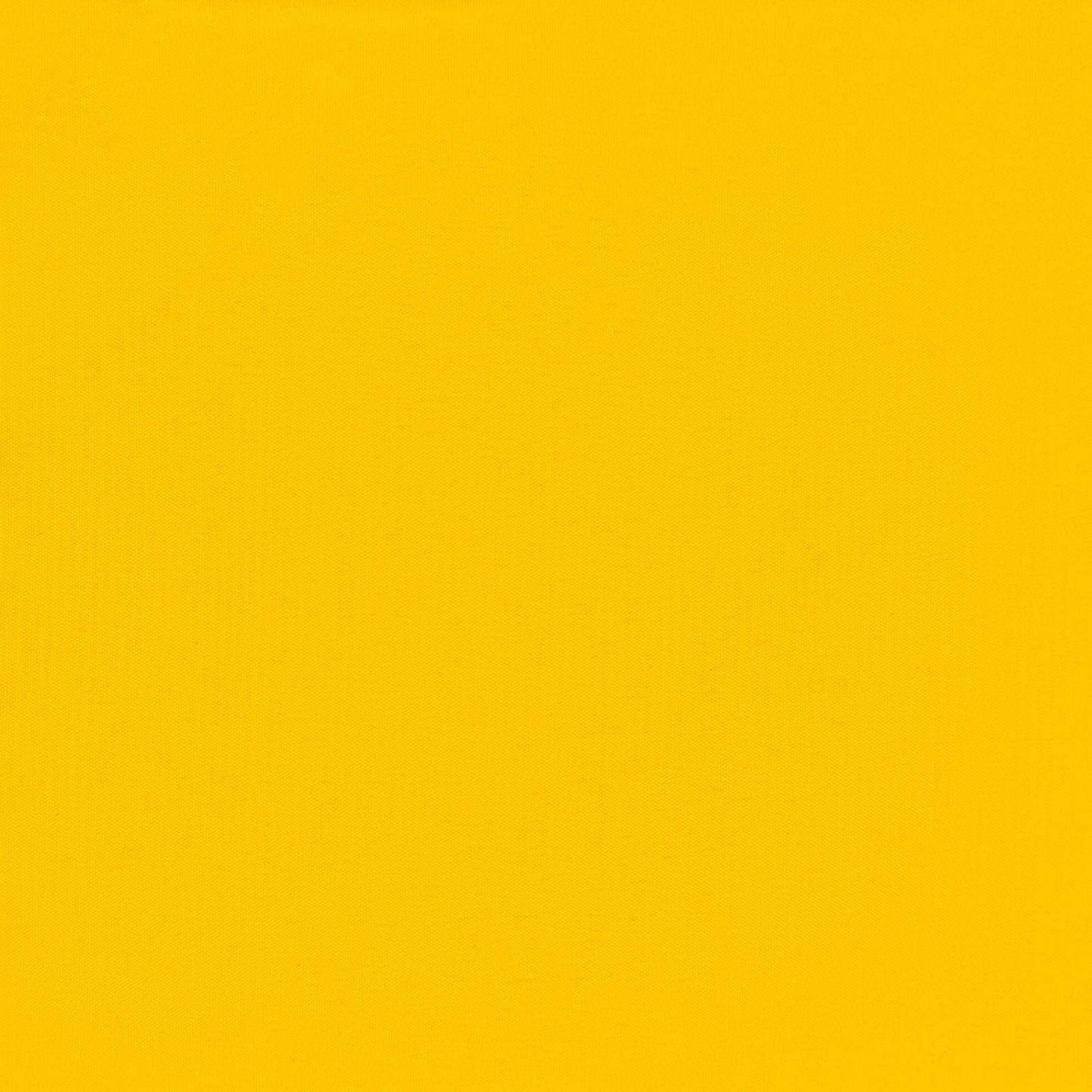 Balkono Ekranas Geltona 90 x 200 cm PU dengtas oksfordas alu