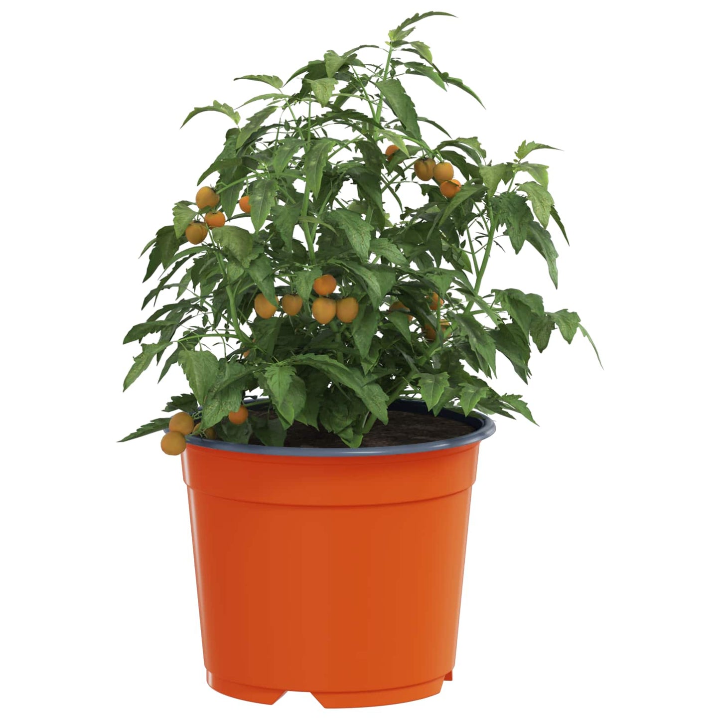 Gėlių vazonas 100 pcs Keramika Ø 15 x 12.5 cm Plastmasė