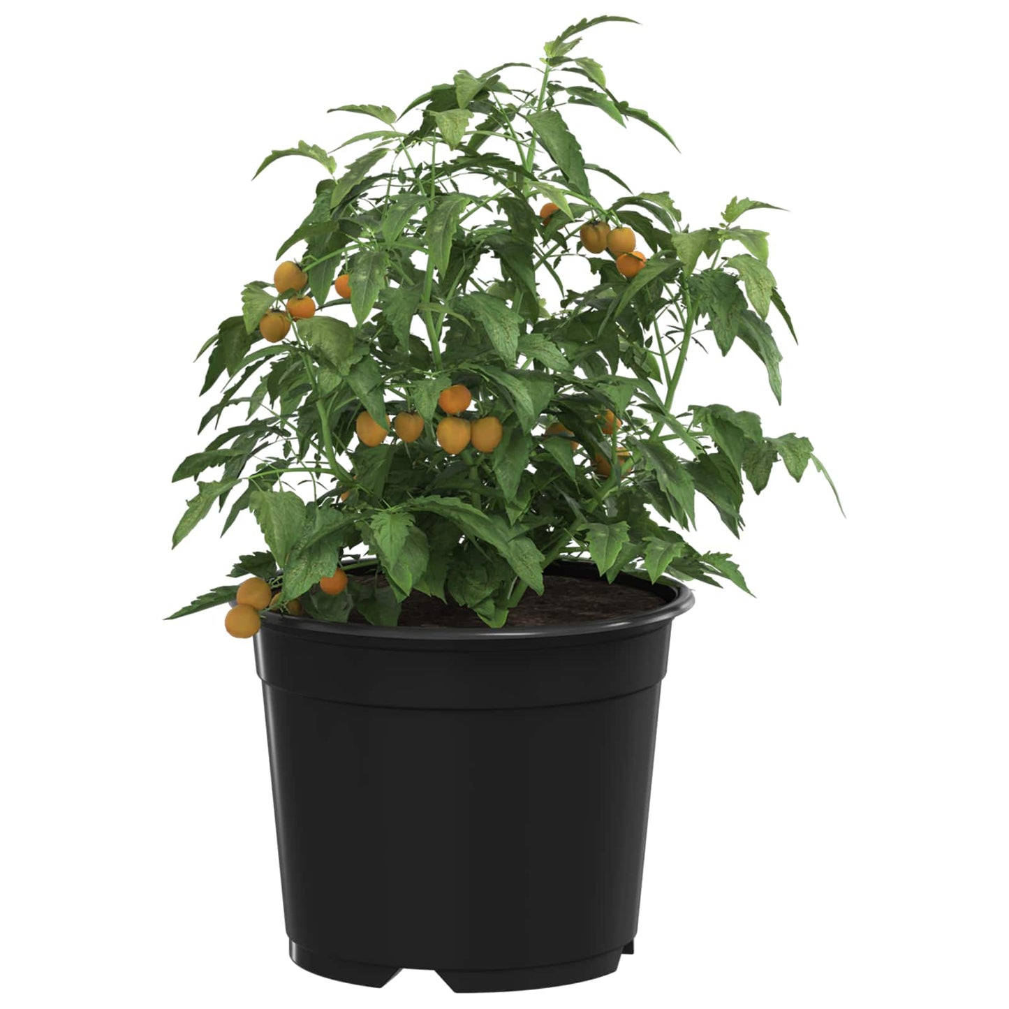Apvalus gėlių vazonas 200 pcs Juoda Ø 10 x 8 cm Plastmasė