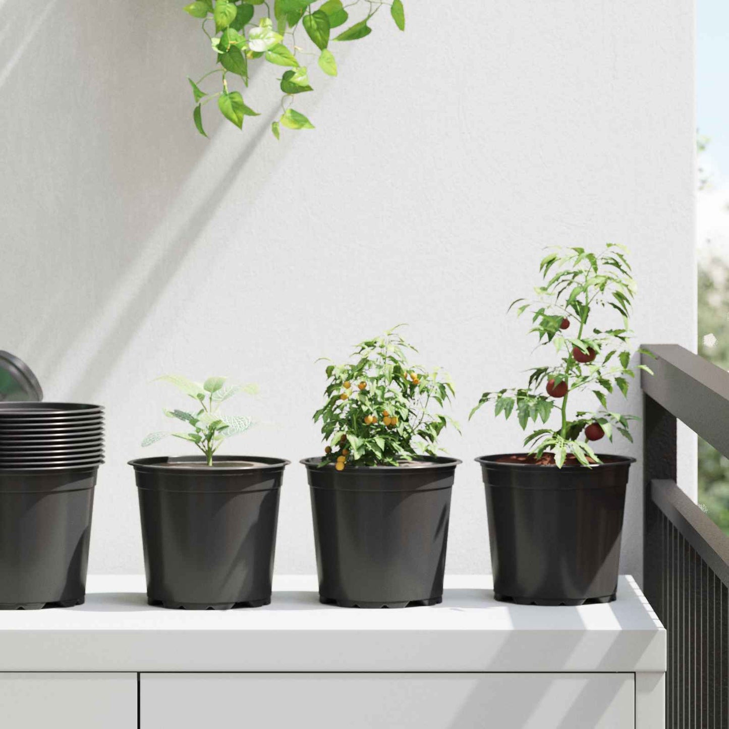 Gėlių vazonas 200 pcs Juoda Ø 15 x 12.5 cm Plastmasė