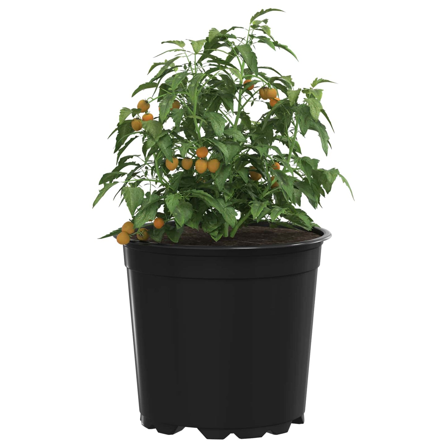 Gėlių vazonas 200 pcs Juoda Ø 15 x 12.5 cm Plastmasė