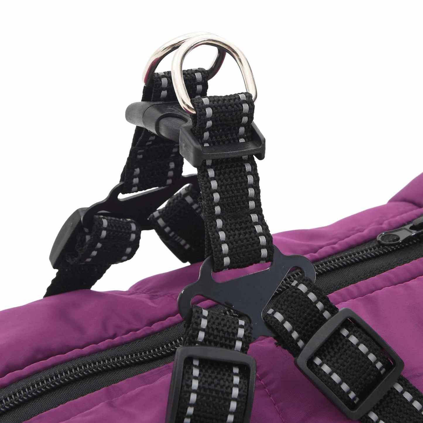 Šuns Kailinis su pavadėliu Violetinė 4XL Fleece ir poliesteris