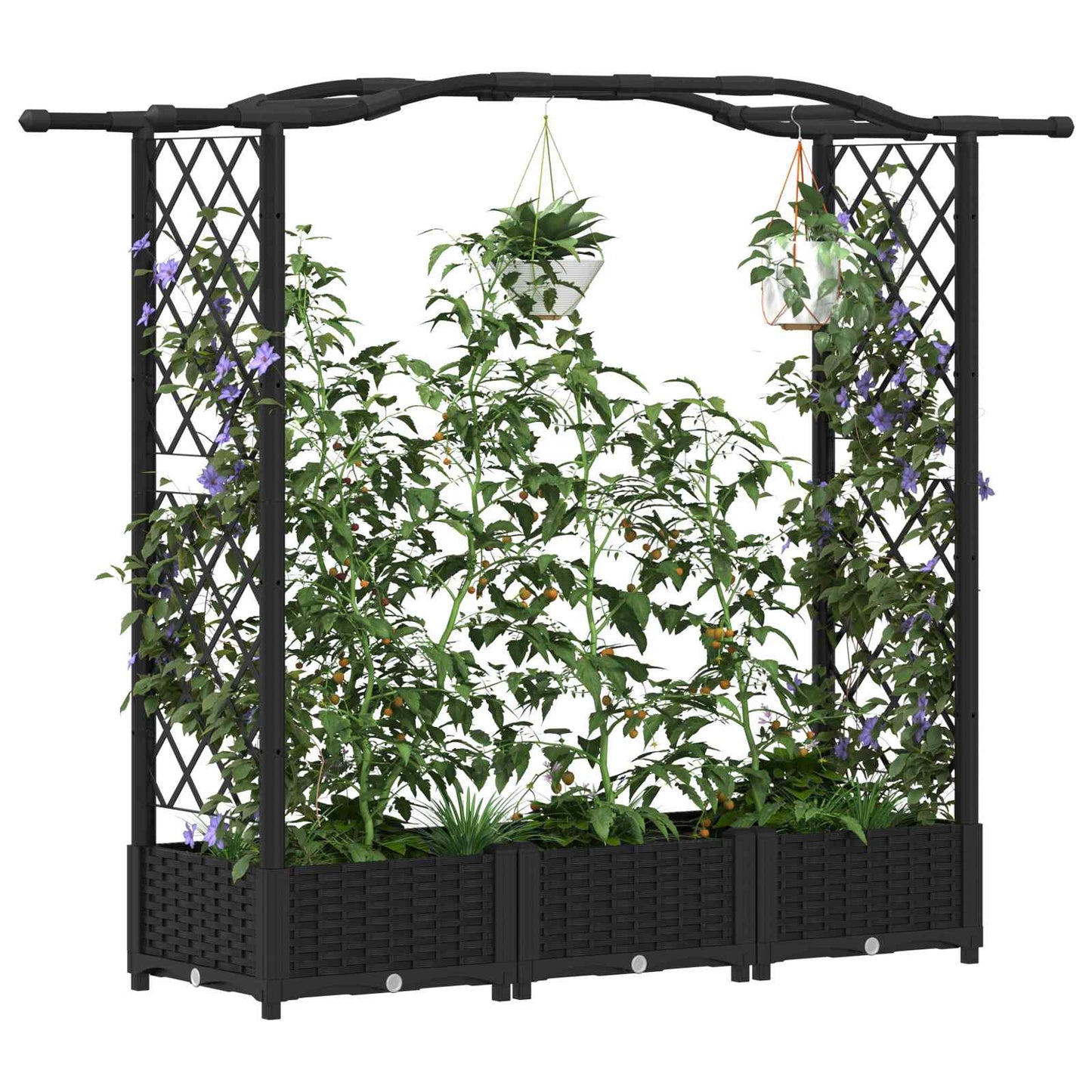 Pakeltas lovas su trelėmis ir stogu Juodas 169 x 40 x 125 cm PP