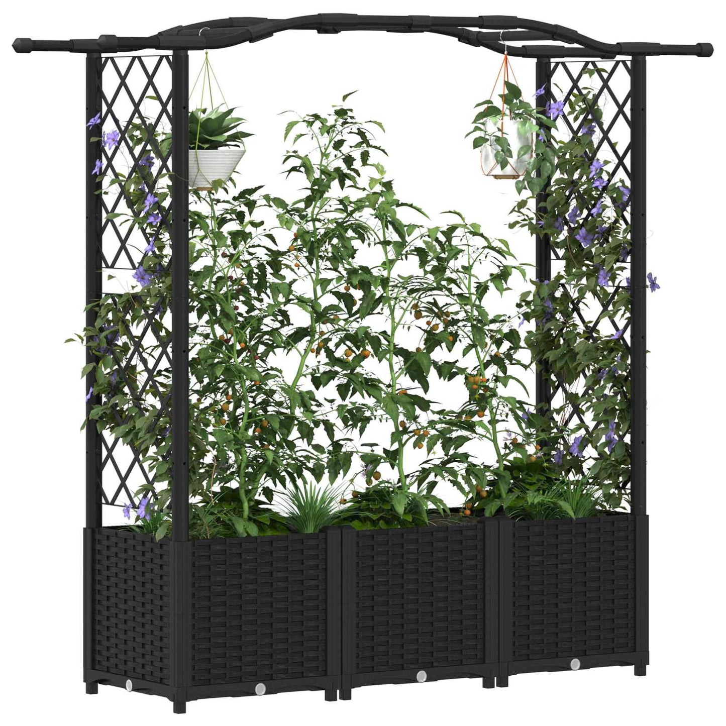 Pakeltas lovas su trelėmis ir stogu Juodas 164 x 40 x 142 cm PP
