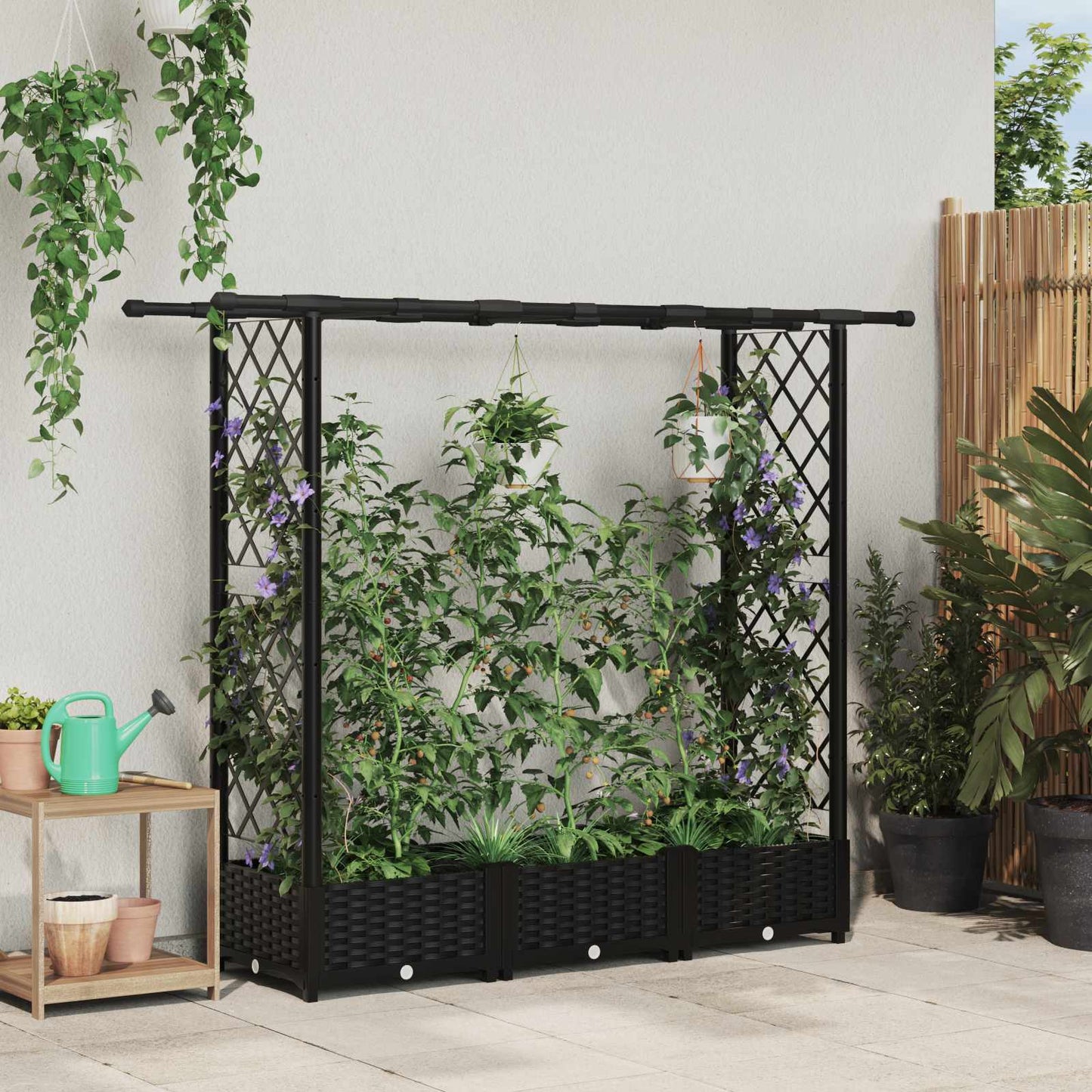 Pakeltas lovas su trelėmis ir stogu Juodas 164 x 40 x 123 cm PP