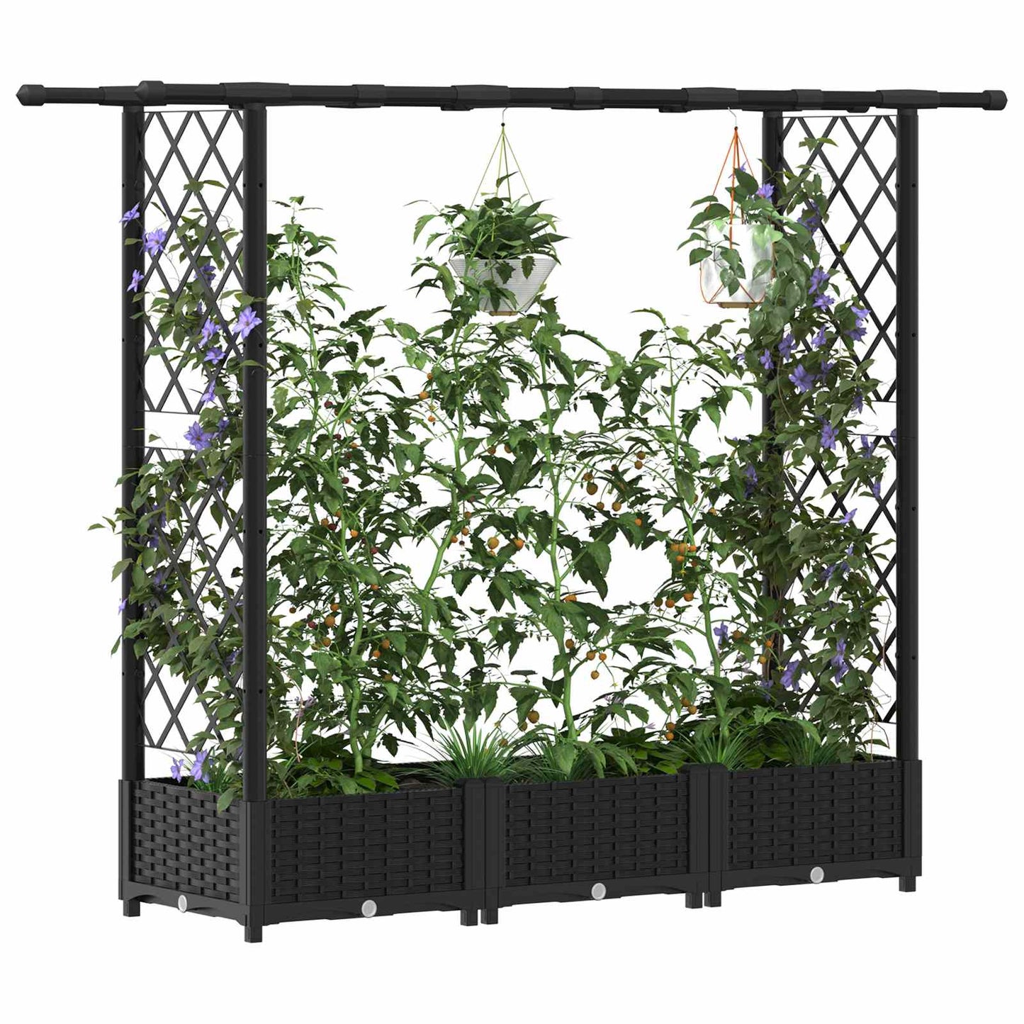 Pakeltas lovas su trelėmis ir stogu Juodas 164 x 40 x 123 cm PP