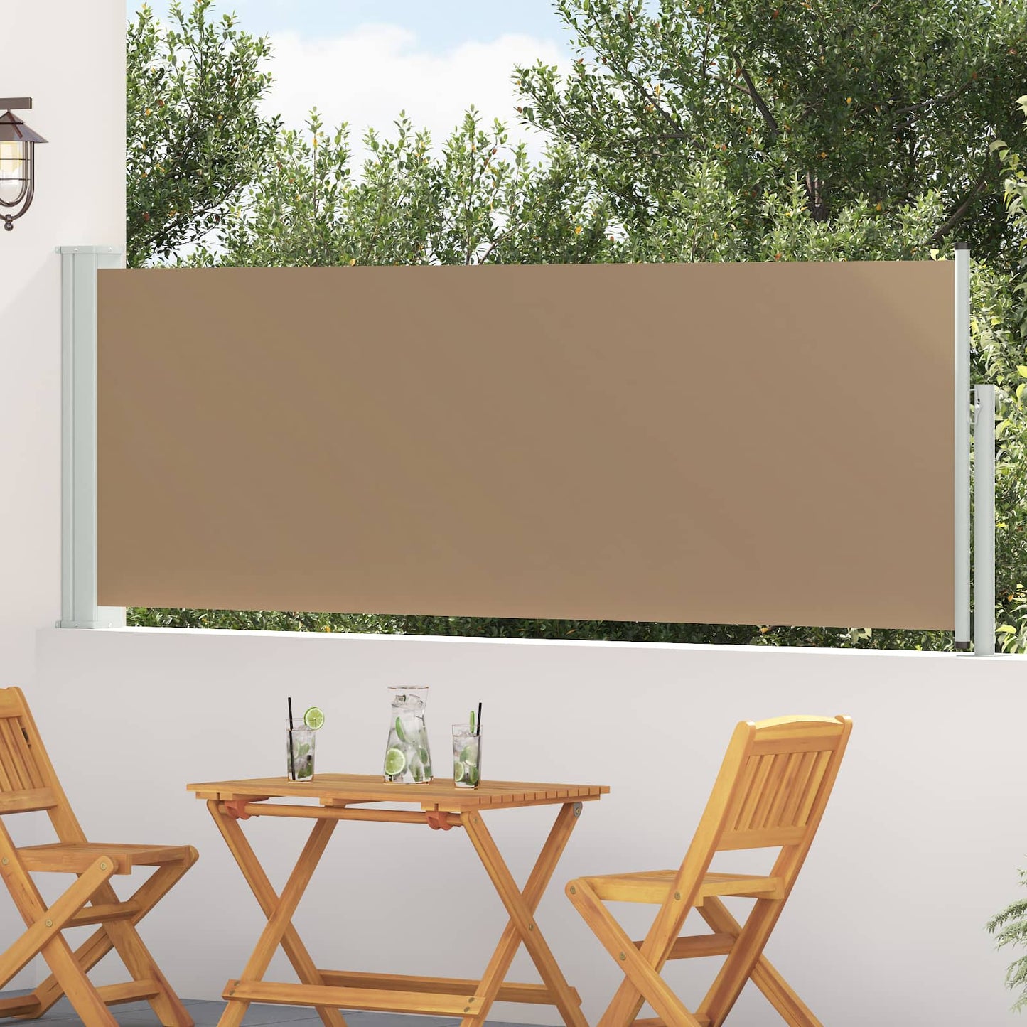 Ištraukiama šoninė užuolaida Taupe 300 x 100 cm Poliesteris