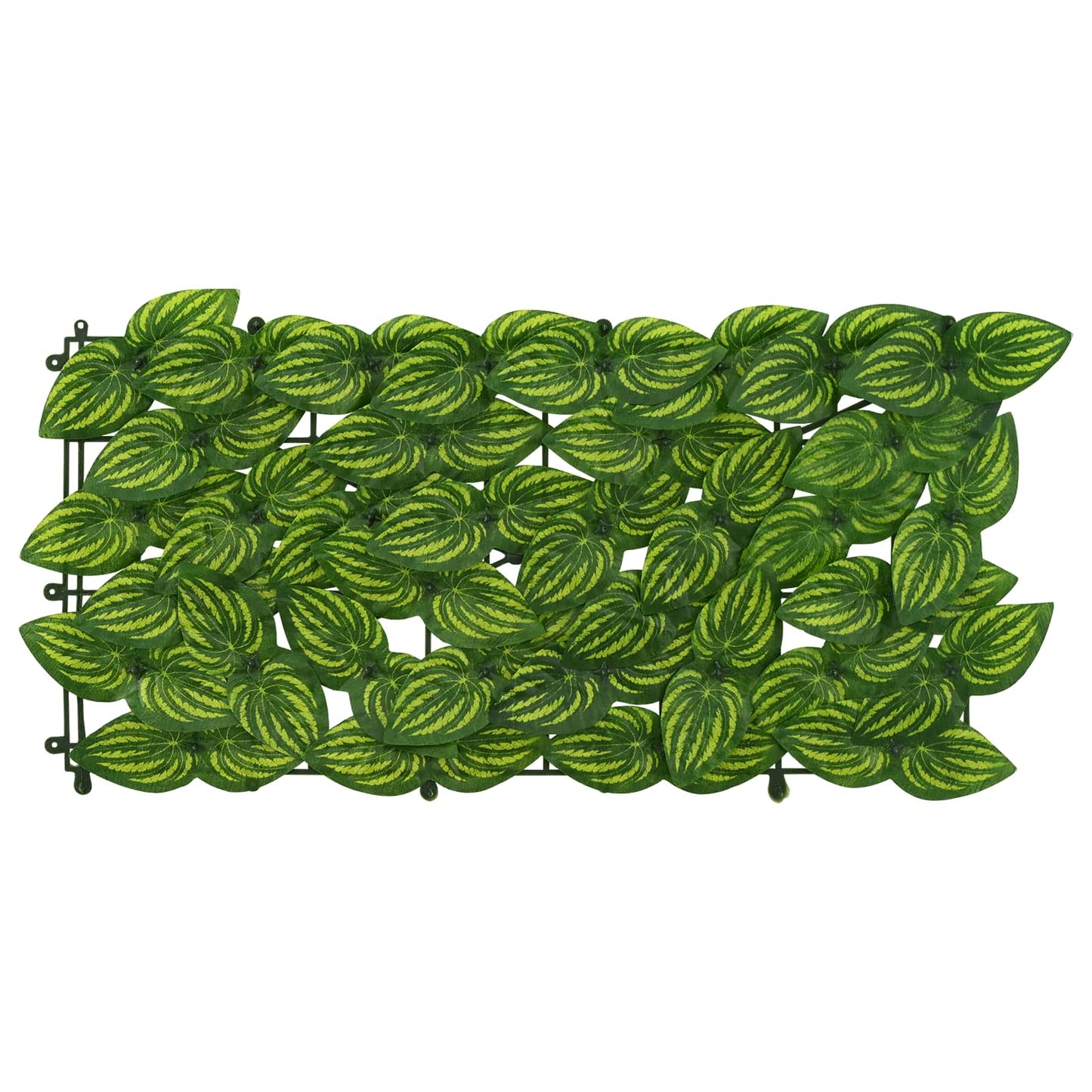 Balkono ekranas su lapais Žalia ir geltona 200 x 75 cm