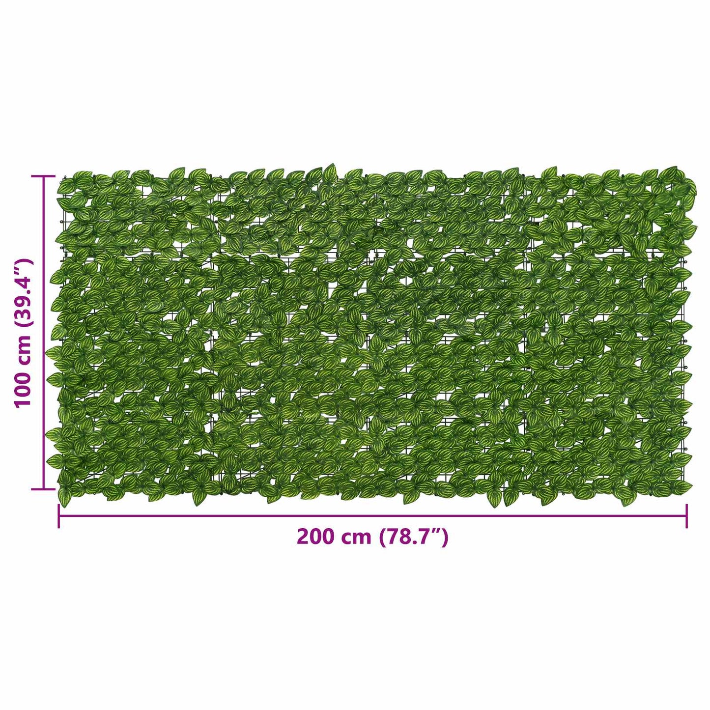 Balkono ekranas su lapais Žalia ir geltona 200 x 100 cm