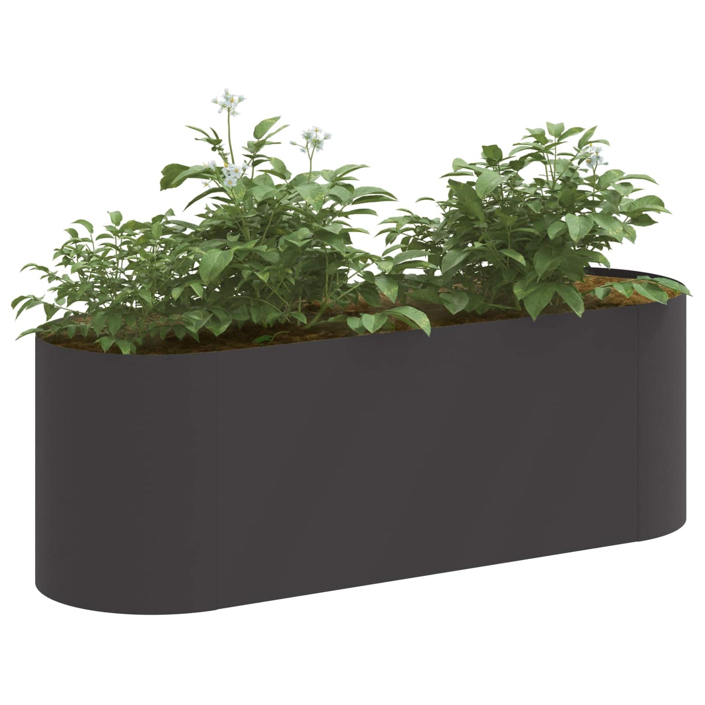 Pakelta sodo lova Juoda 120 x 40 x 40 cm Plienas