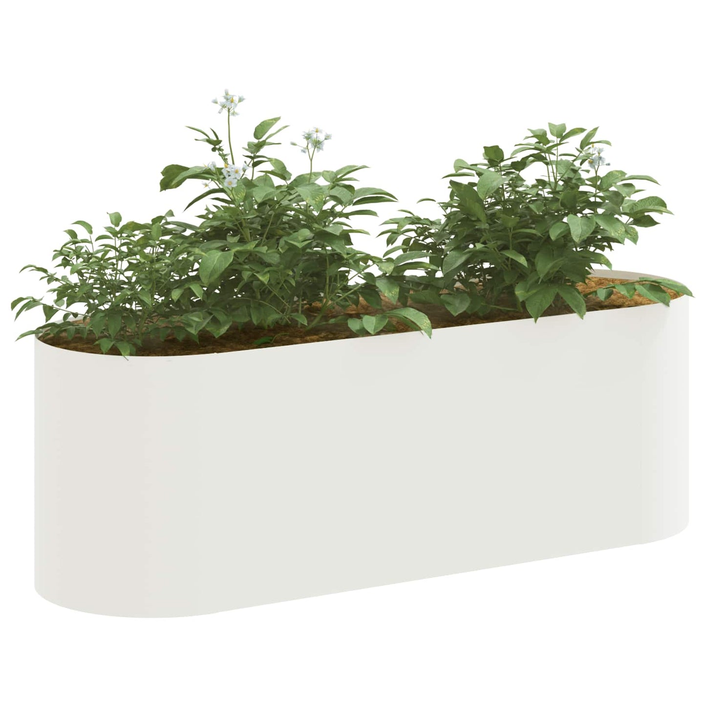 Pakelta sodo lova Balta 120 x 40 x 40 cm