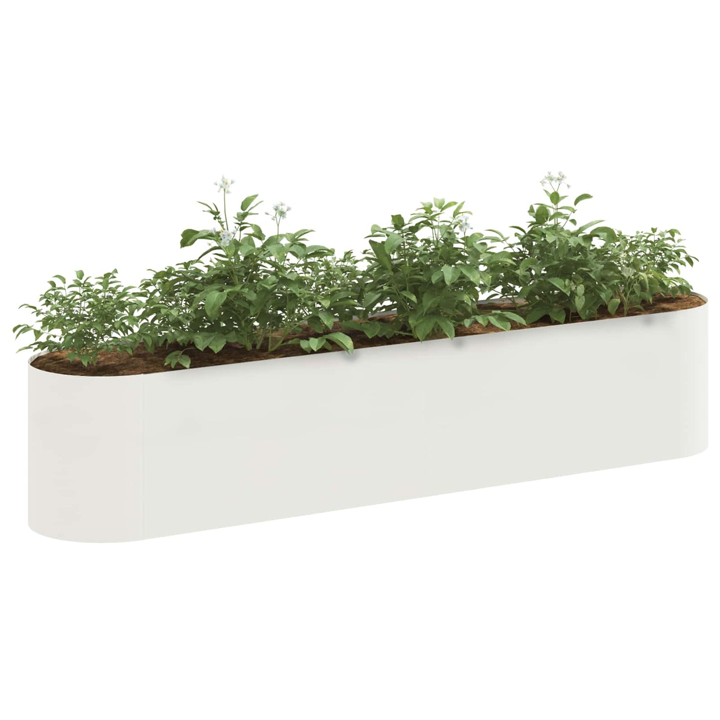 Pakelta sodo lova Balta 200 x 40 x 40 cm