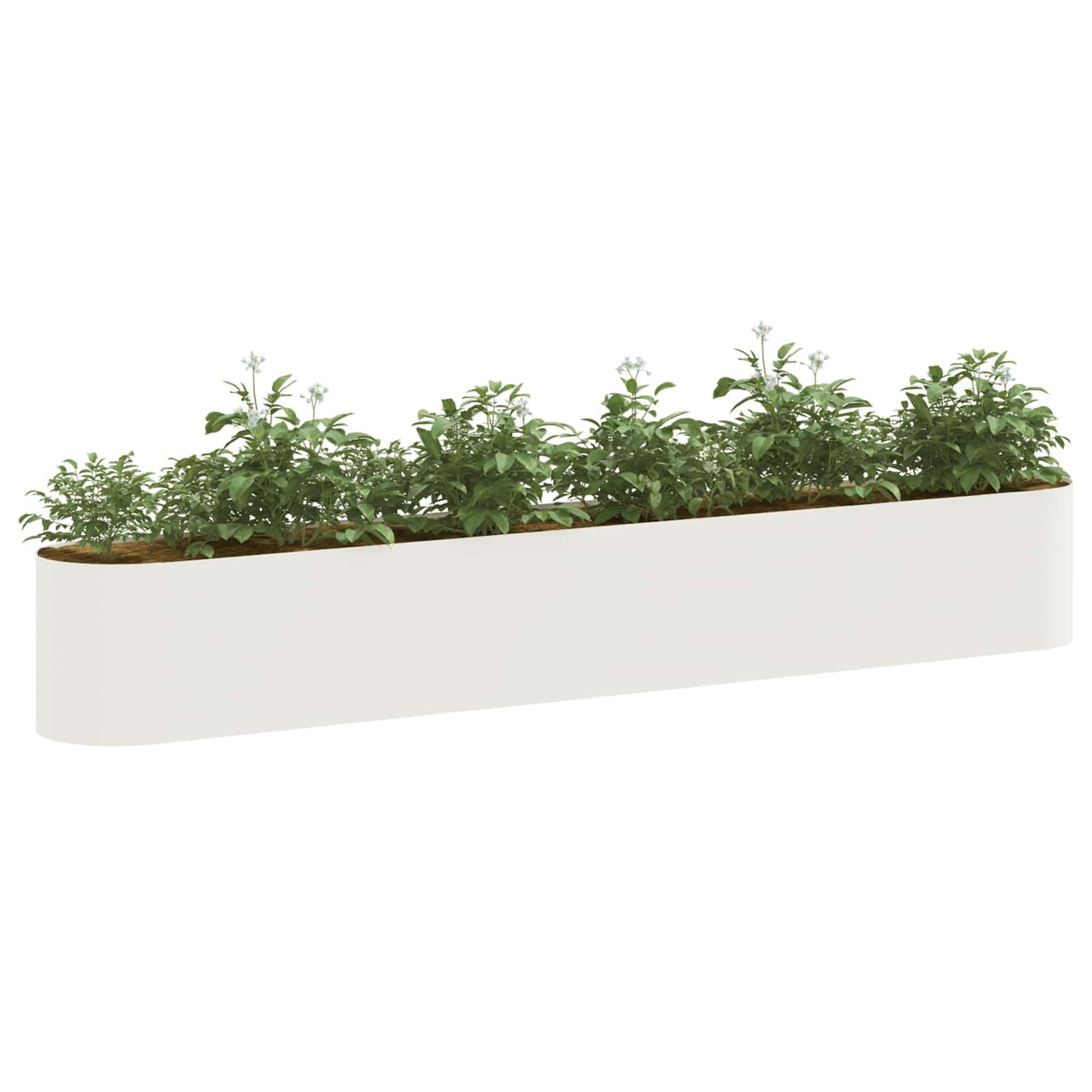 Pakelta sodo lova Balta 280 x 40 x 40 cm