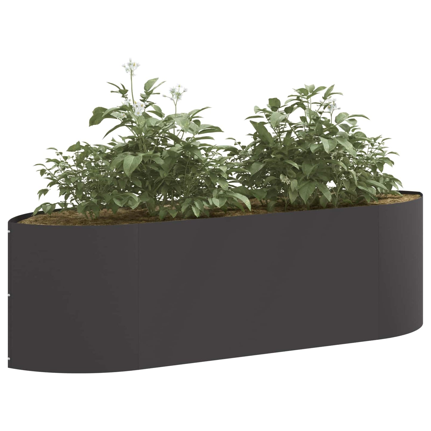 Pakelta sodo lova Juoda 140 x 40 x 40 cm Plienas