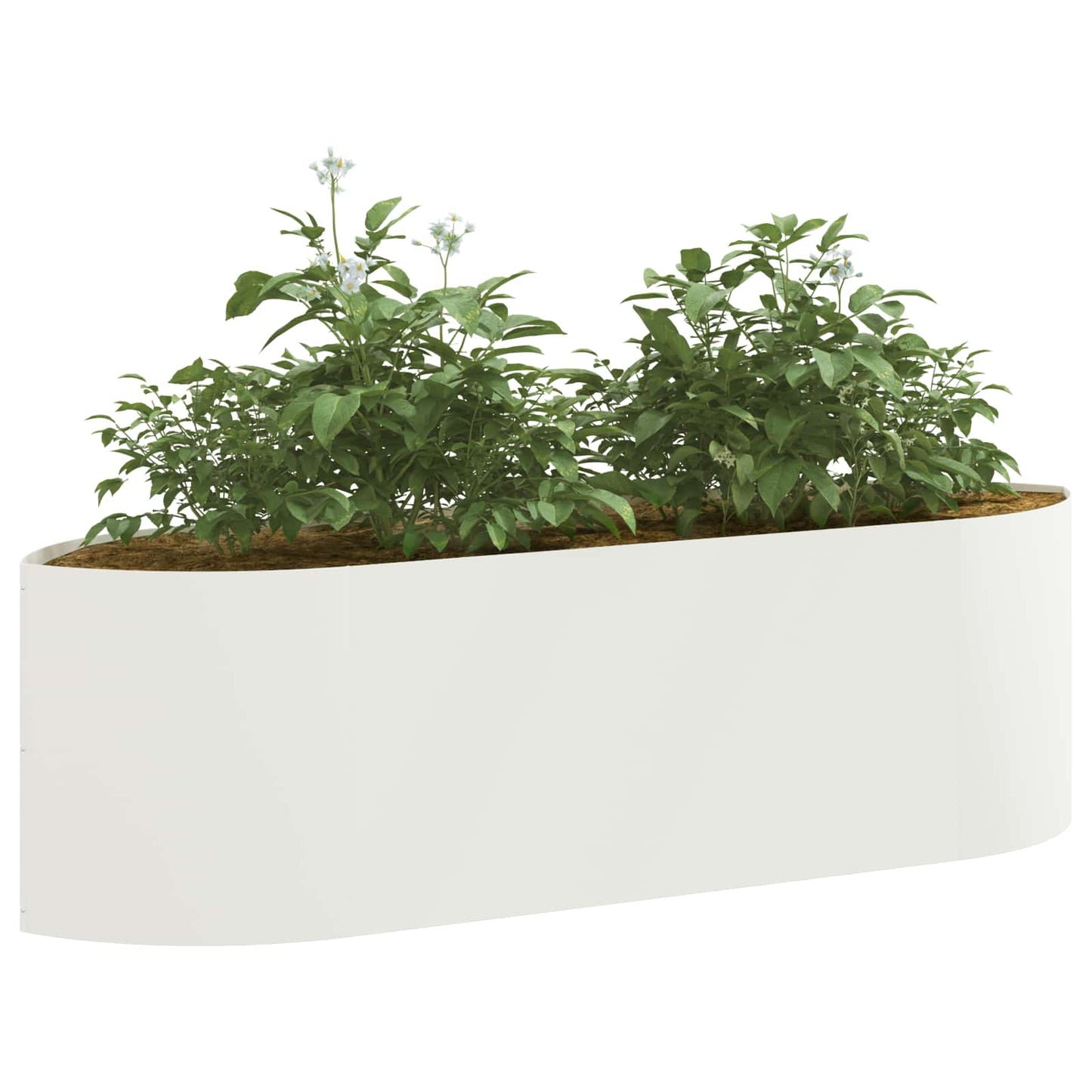 Pakelta sodo lova Balta 140 x 40 x 40 cm Plienas