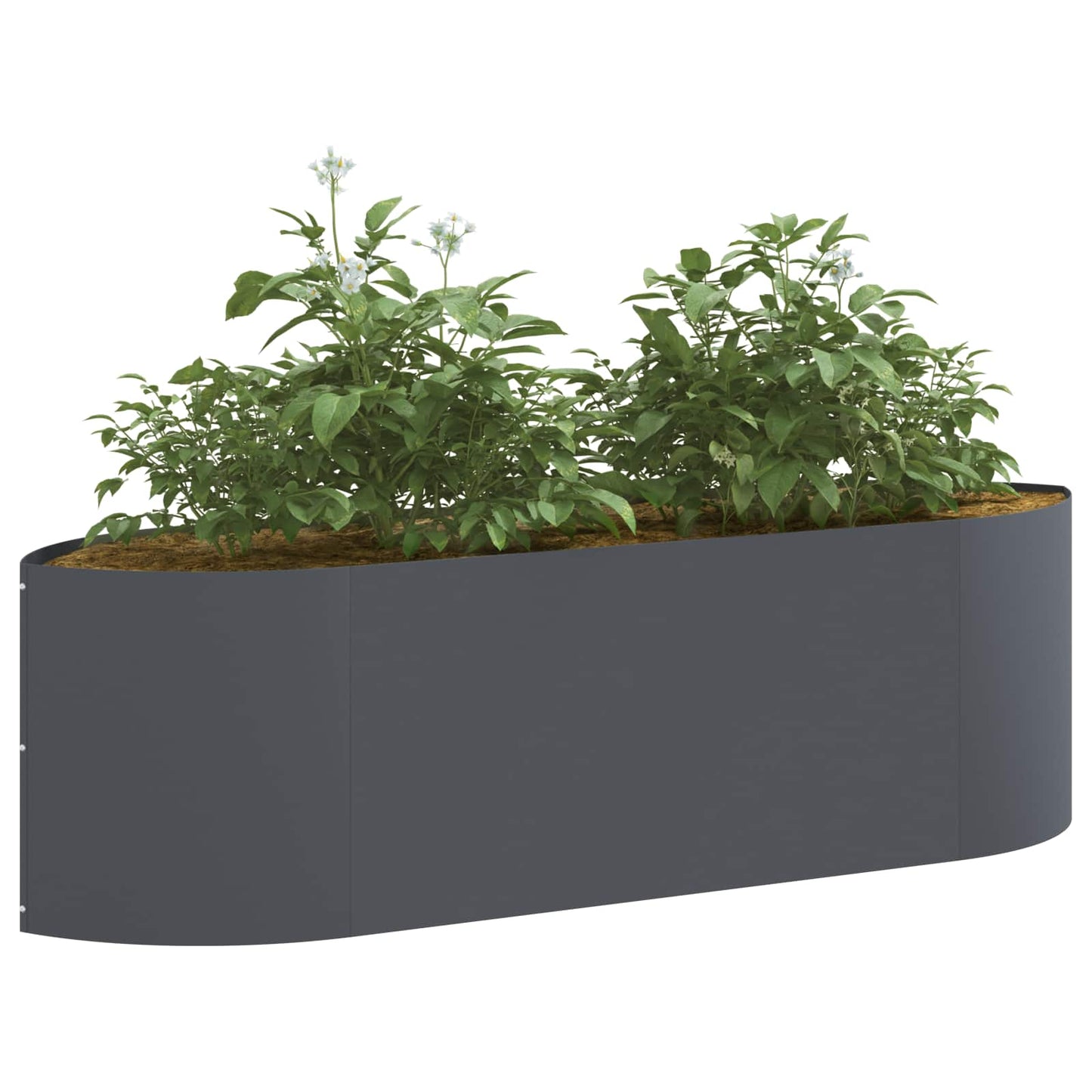 Pakelta sodo lova Antracito 140 x 40 x 40 cm Plienas