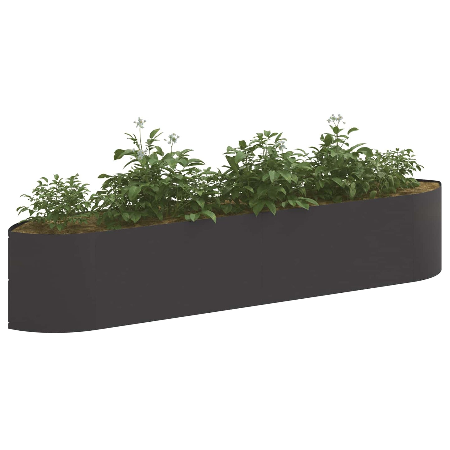 Pakelta sodo lova Juoda 220 x 40 x 40 cm Plienas