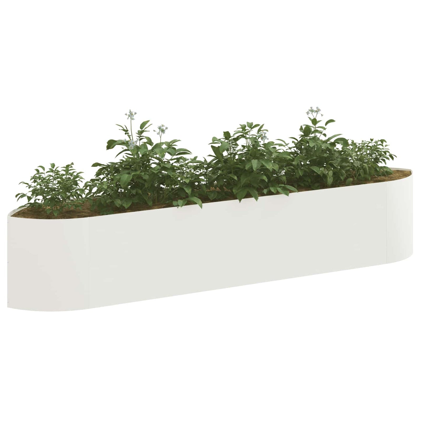 Pakelta sodo lova Balta 220 x 40 x 40 cm Plienas
