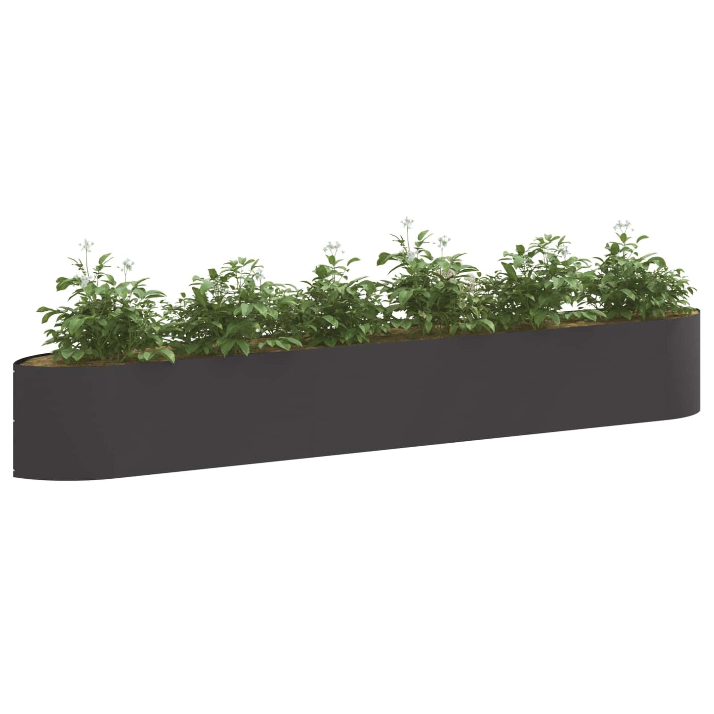 Pakelta sodo lova Juoda 300 x 40 x 40 cm Plienas