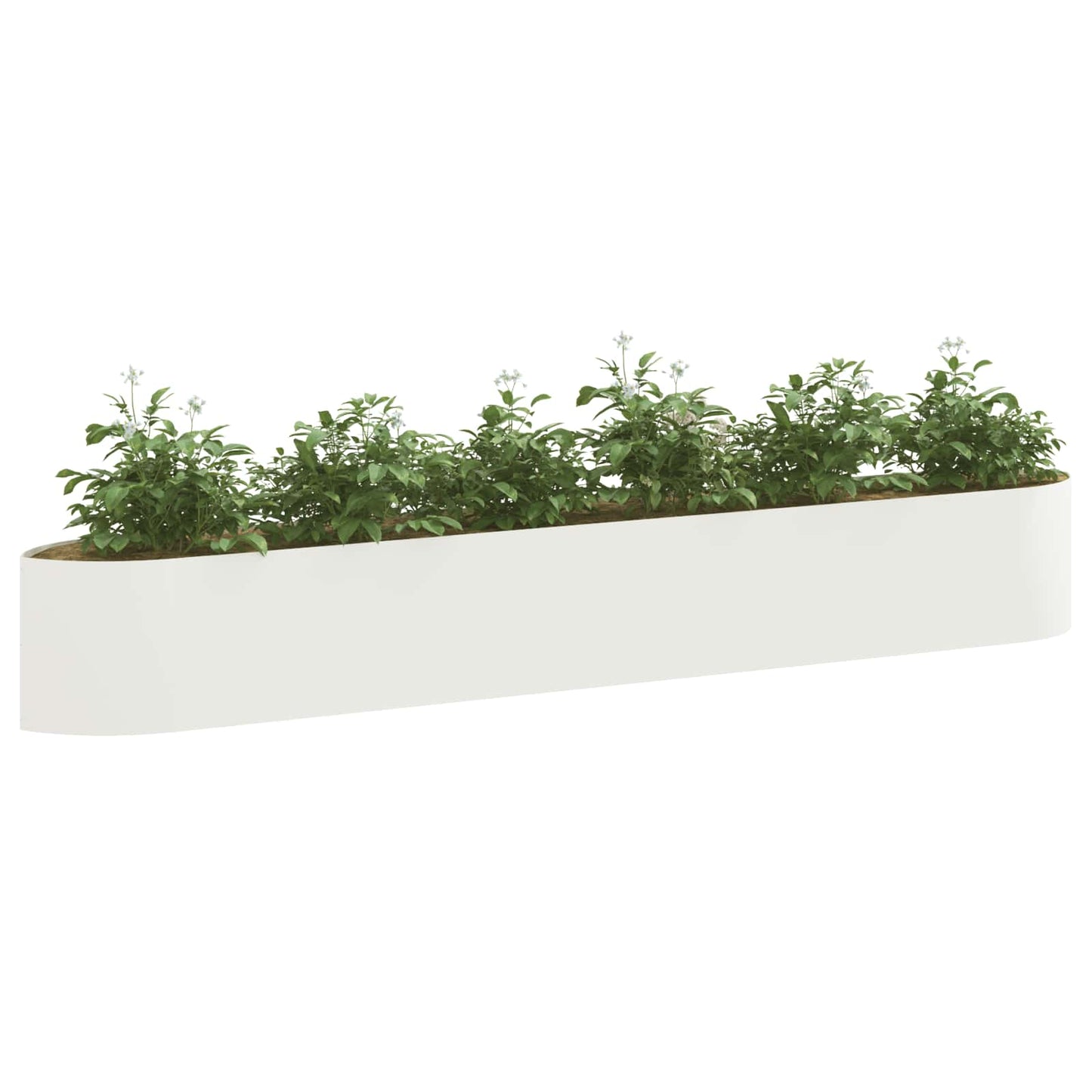 Pakelta sodo lova Balta 300 x 40 x 40 cm Plienas