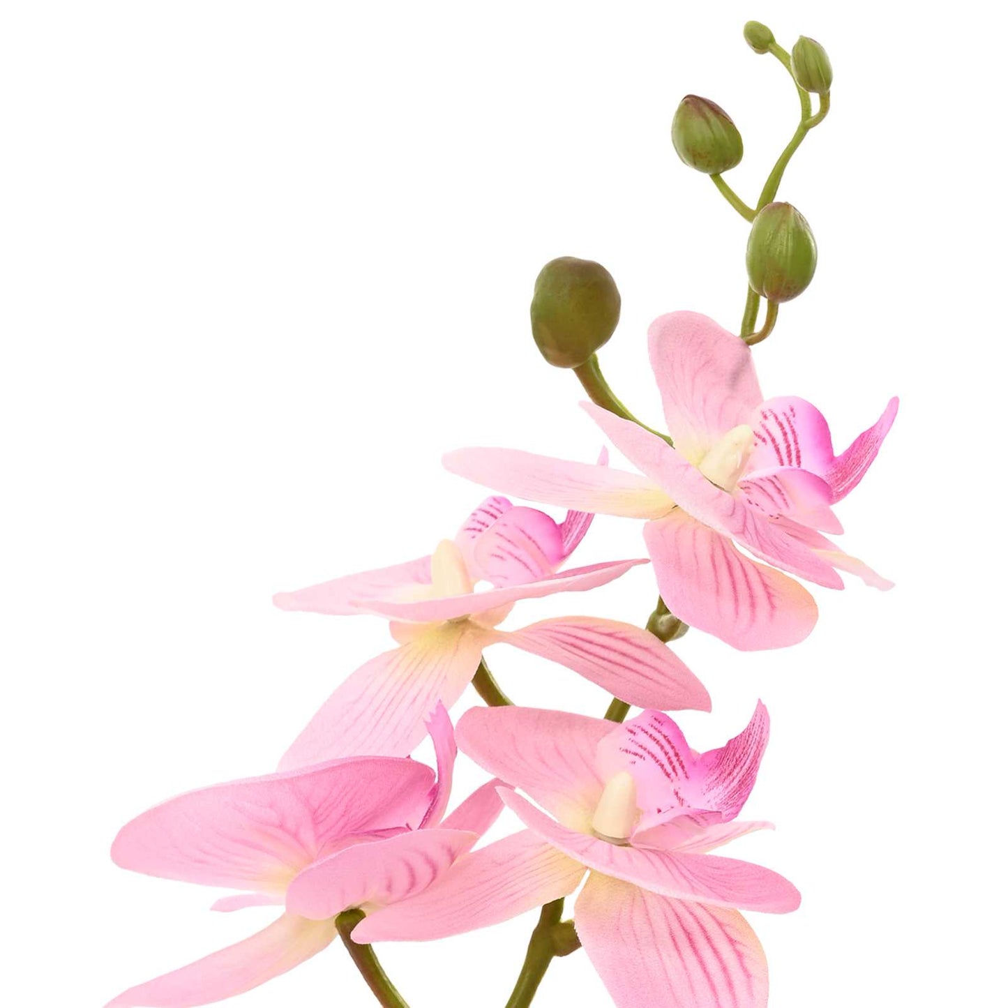 Dirbtinė orchidėja su vazonu Rožinė 45 x 15 x 65 cm