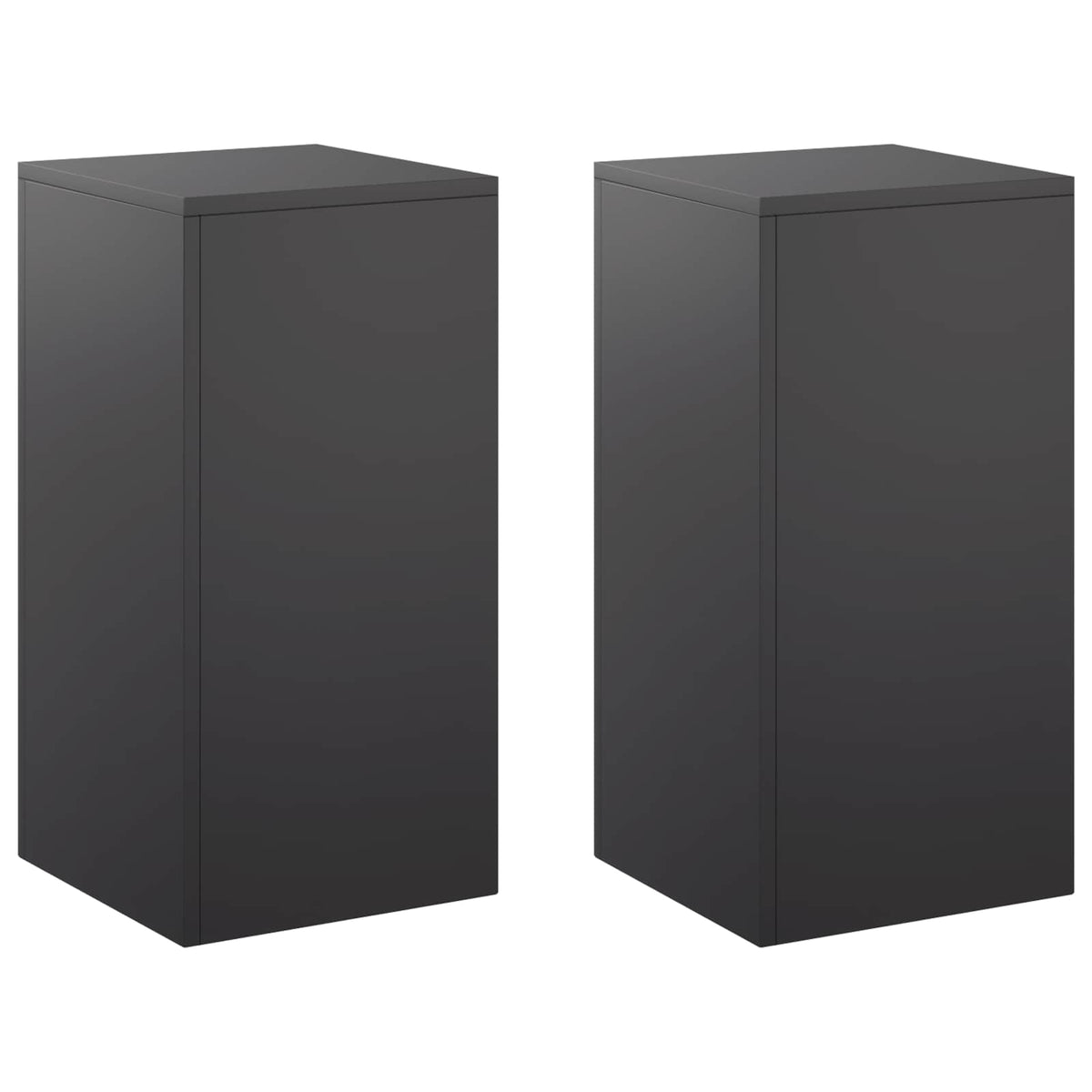 Augalų stovas 2 pcs Juoda 30 x 30 x 60 cm Plienas