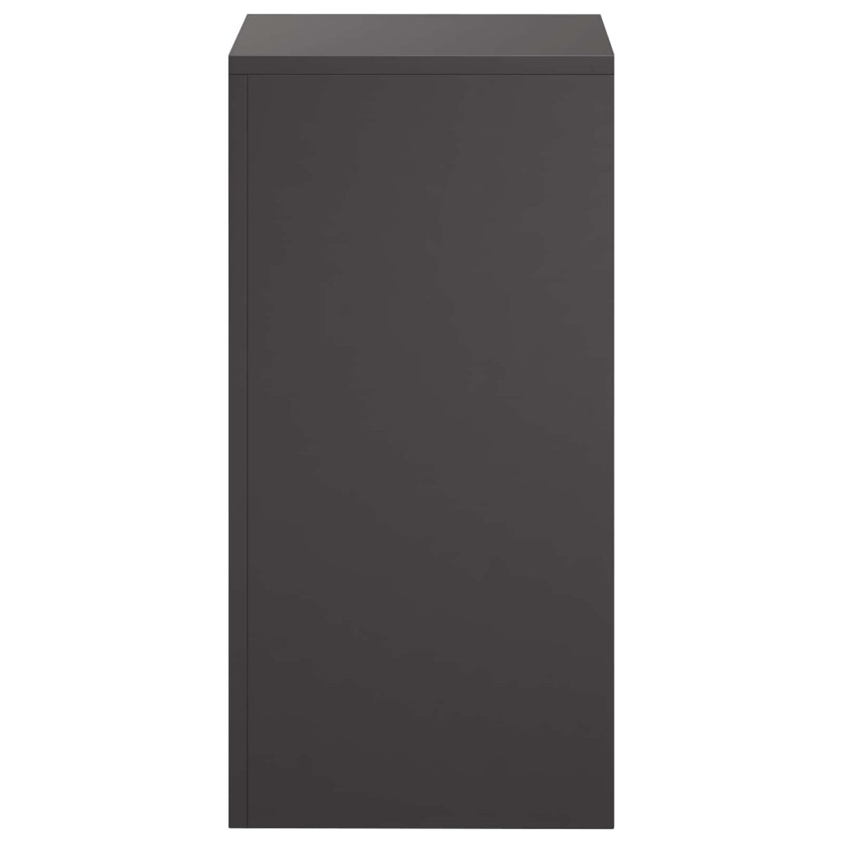 Augalų stovas 2 pcs Juoda 30 x 30 x 60 cm Plienas
