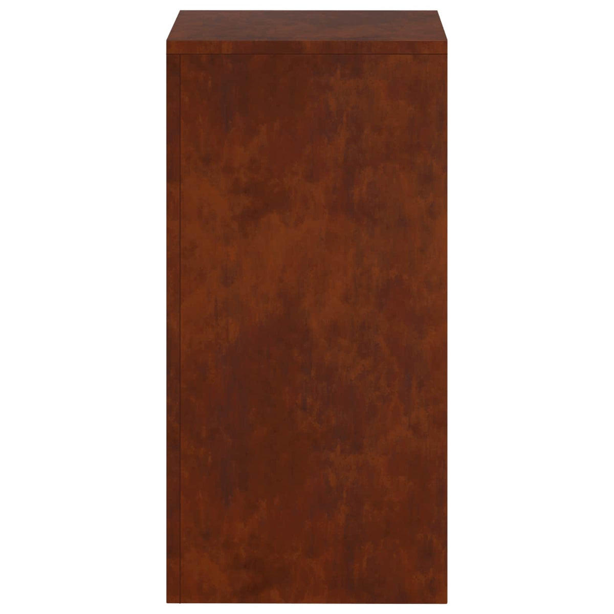 Augalų stovas 2 pcs Rūdijanti 30 x 30 x 60 cm