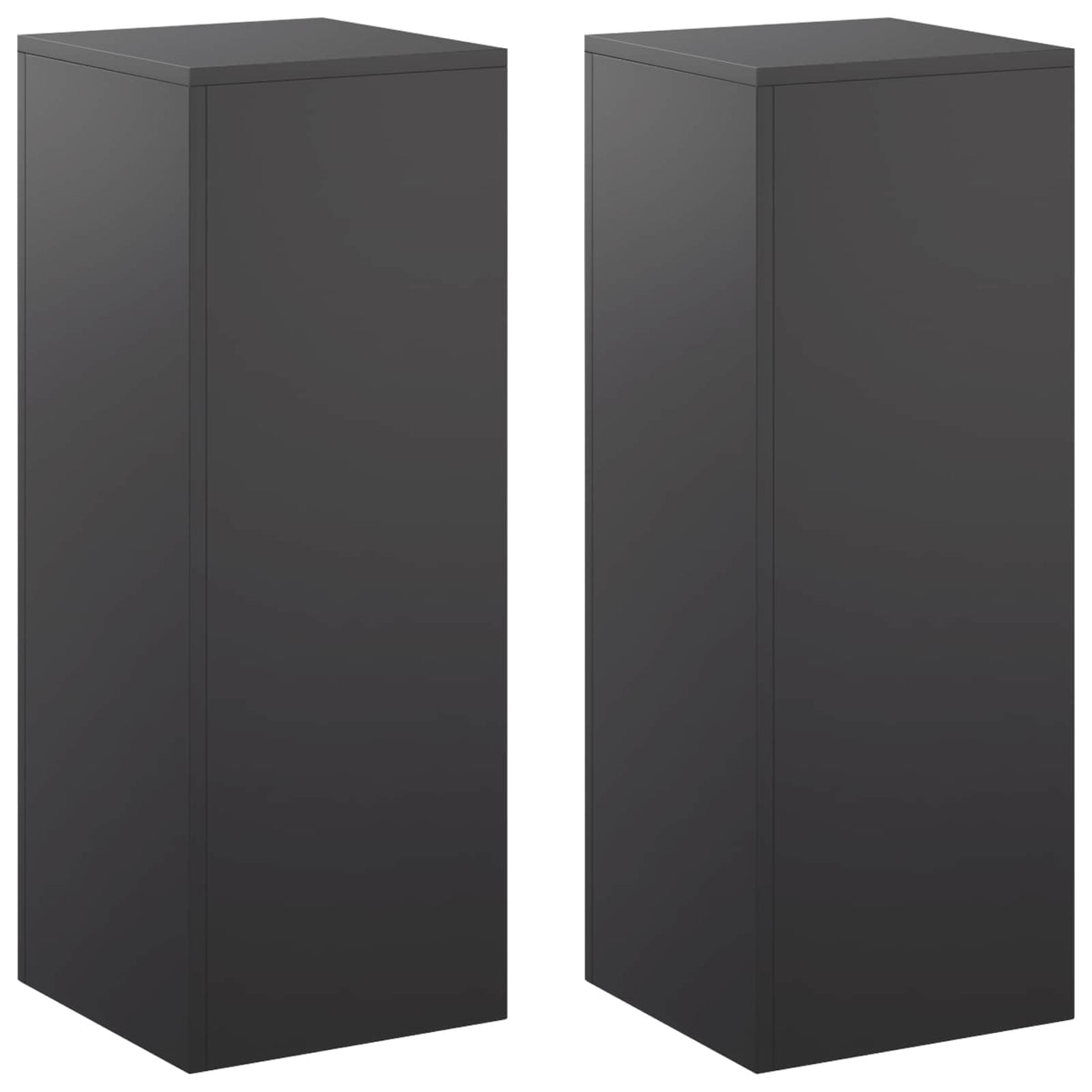 Augalų stovas 2 pcs Juoda 30 x 30 x 80 cm Plienas