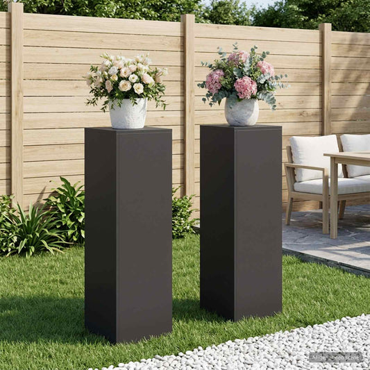 Augalų stovas 2 pcs Juoda 30 x 30 x 100 cm Plienas