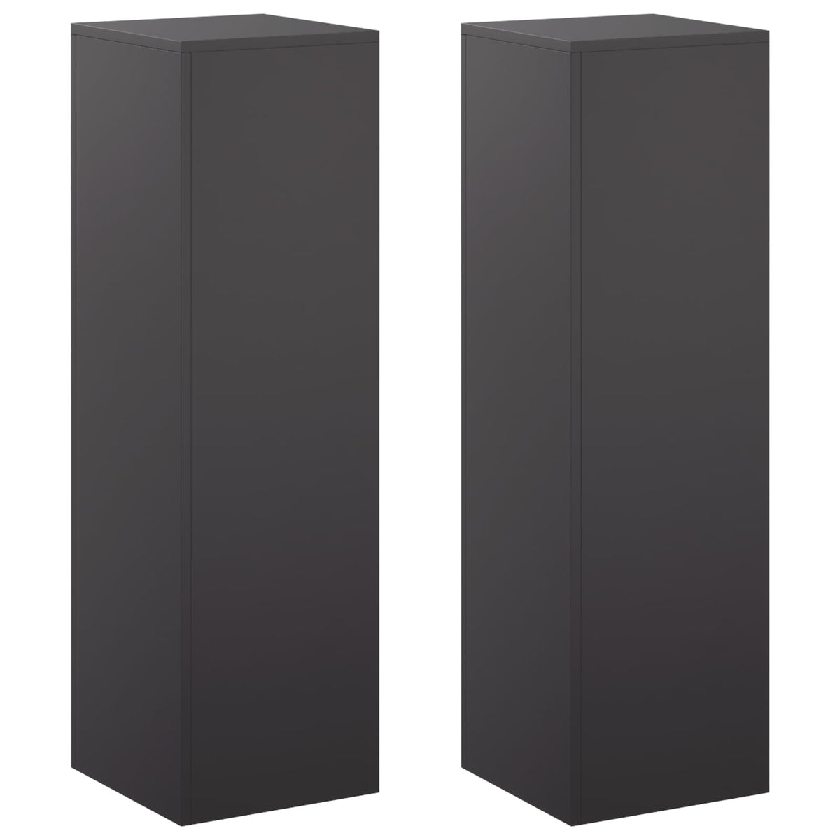 Augalų stovas 2 pcs Juoda 30 x 30 x 100 cm Plienas