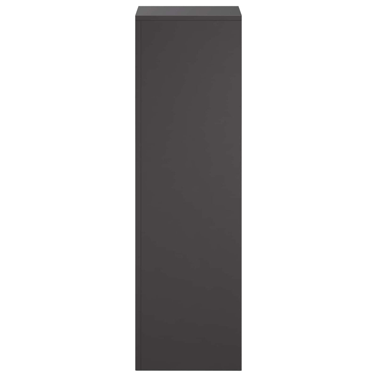 Augalų stovas 2 pcs Juoda 30 x 30 x 100 cm Plienas
