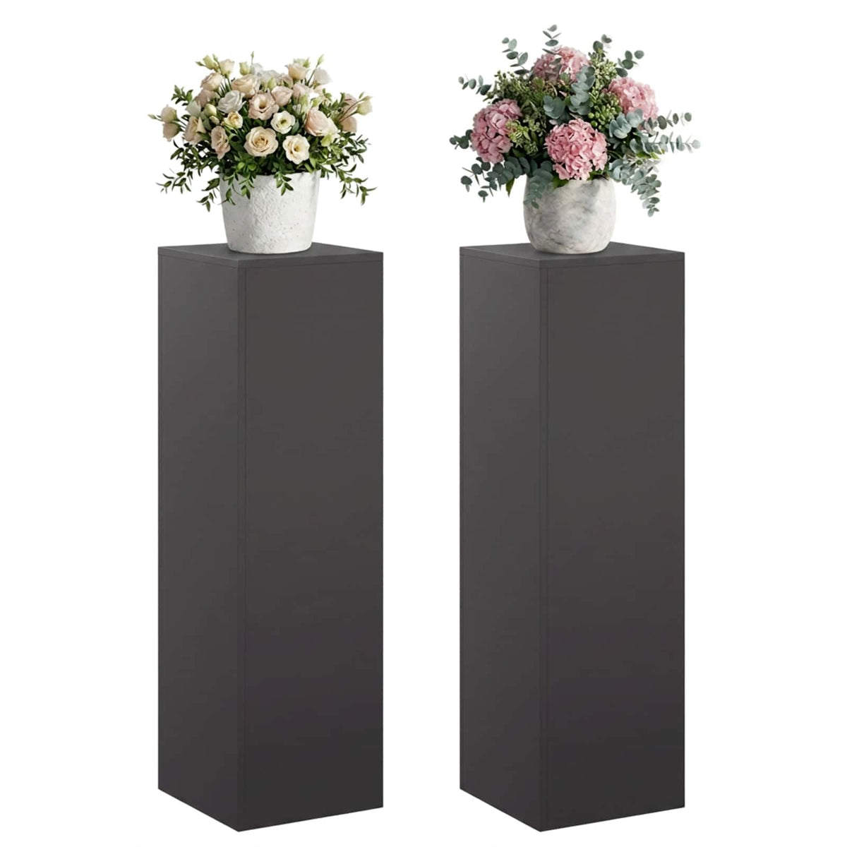 Augalų stovas 2 pcs Juoda 30 x 30 x 100 cm Plienas