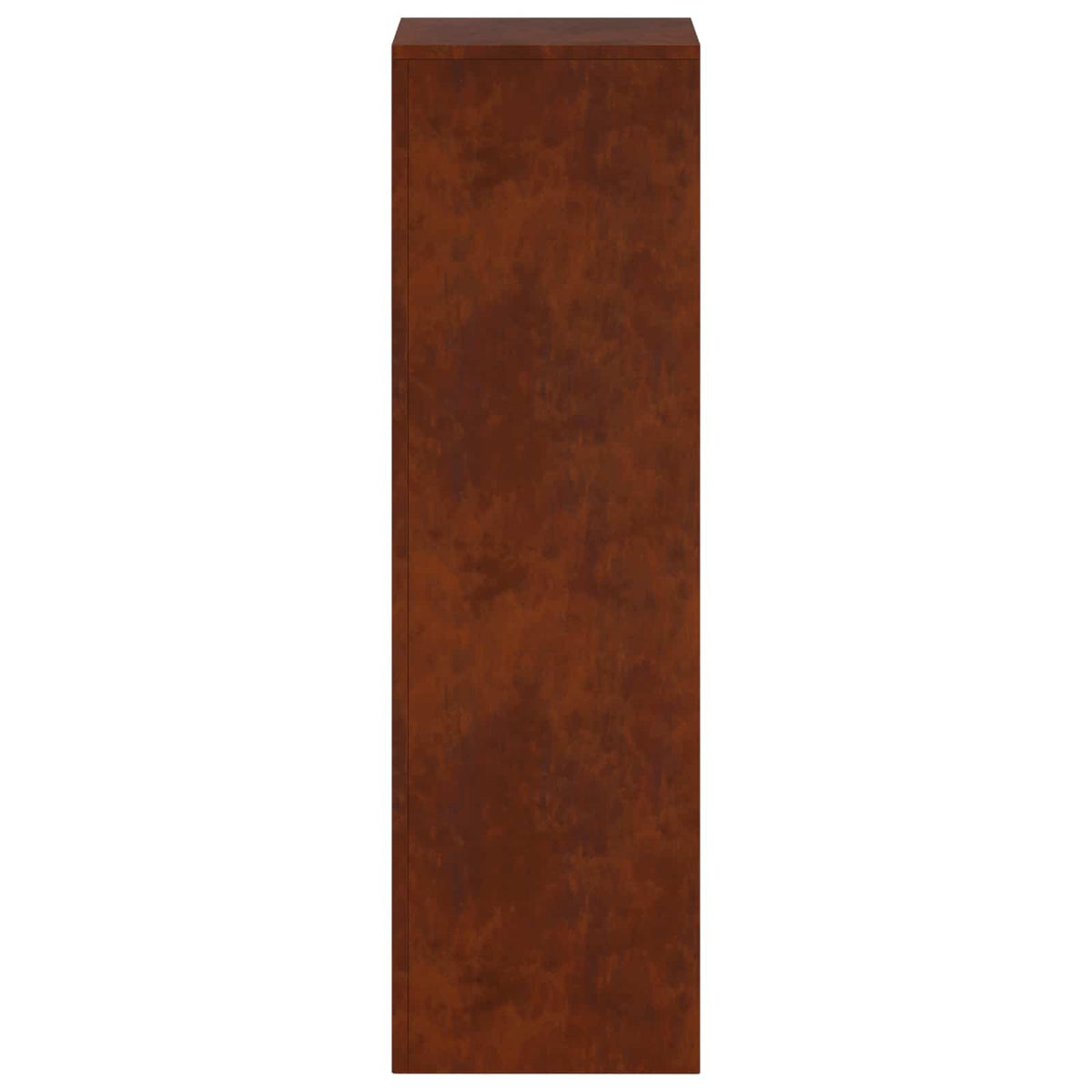Augalų stovas 2 pcs Rūdijanti 30 x 30 x 100 cm