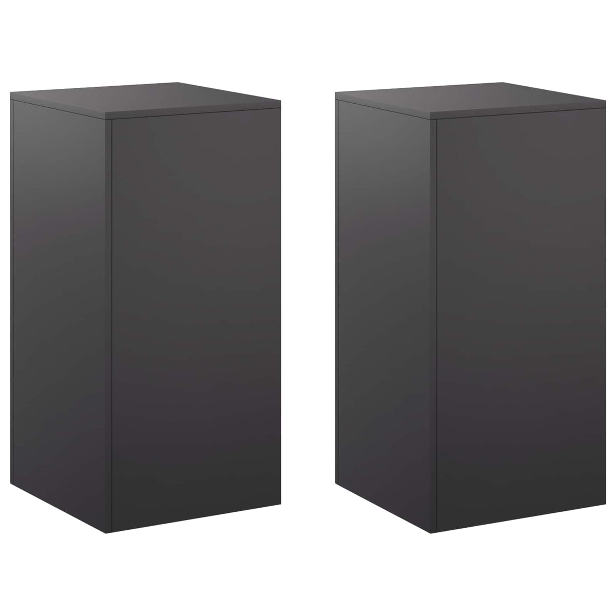 Augalų stovas 2 pcs Juoda 40 x 40 x 80 cm Plienas