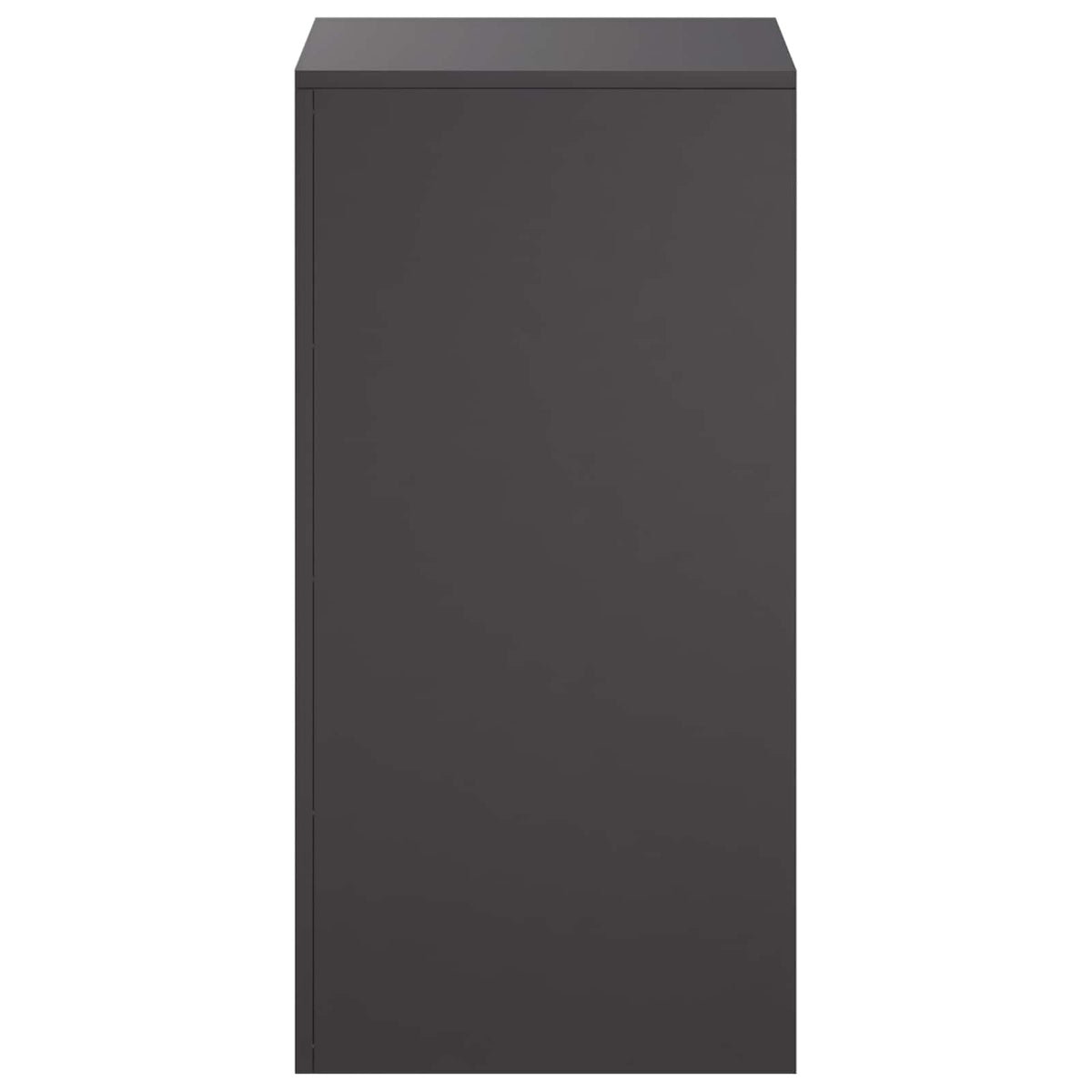 Augalų stovas 2 pcs Juoda 40 x 40 x 80 cm Plienas
