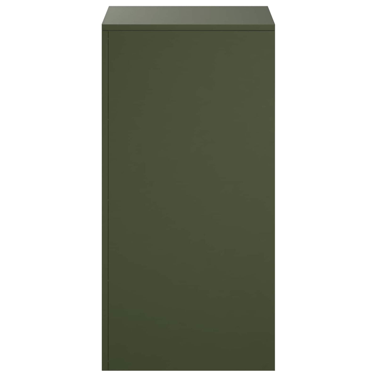Augalų stovas 2 pcs Alyvuogių žalia 40 x 40 x 80 cm Plienas