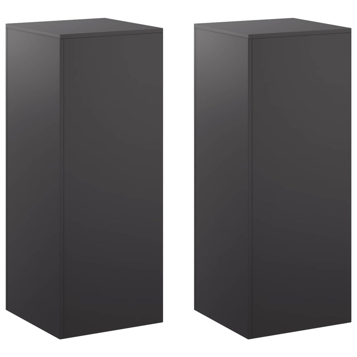 Augalų stovas 2 pcs Juoda 40 x 40 x 100 cm Plienas