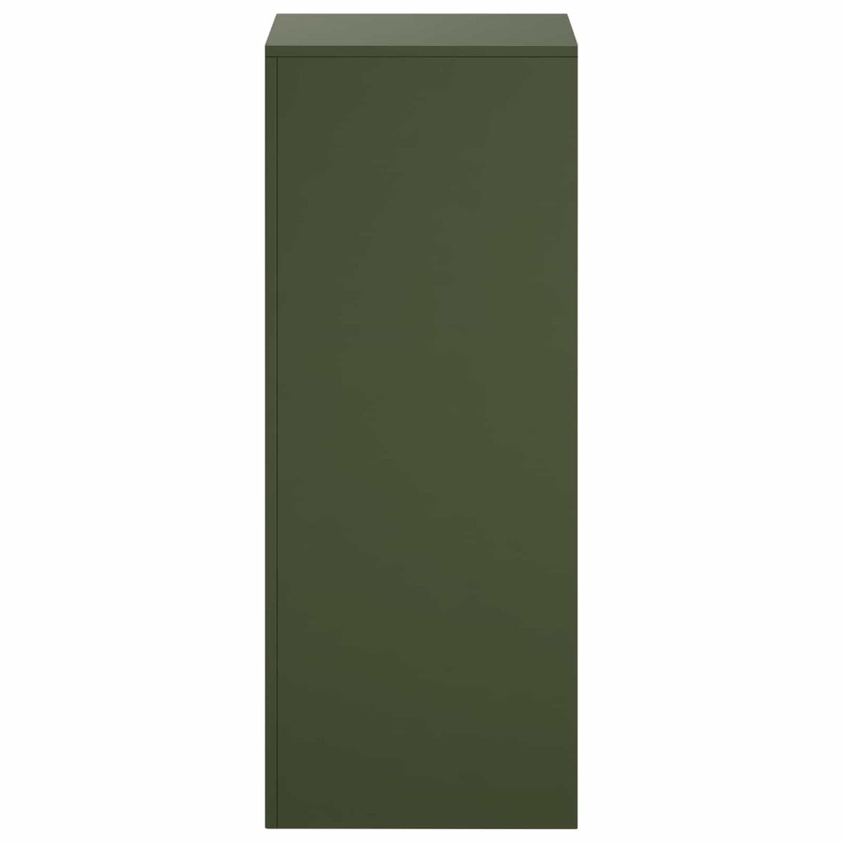 Augalų stovas 2 pcs Alyvuogių žalia 40 x 40 x 100 cm Plienas