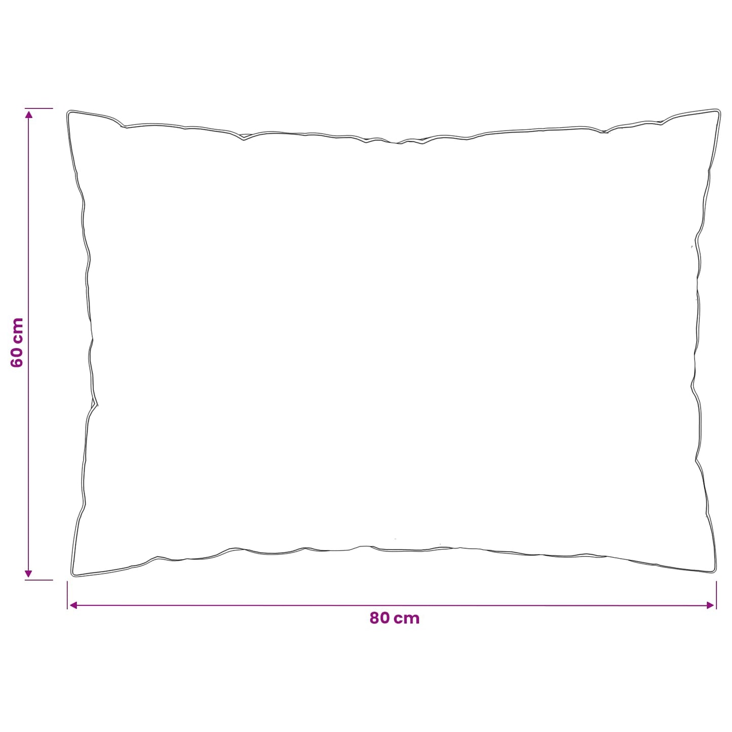 Pagalvė FULDA 2 pcs 60 x 80 cm 100% žąsų pūkai ir plunksnos