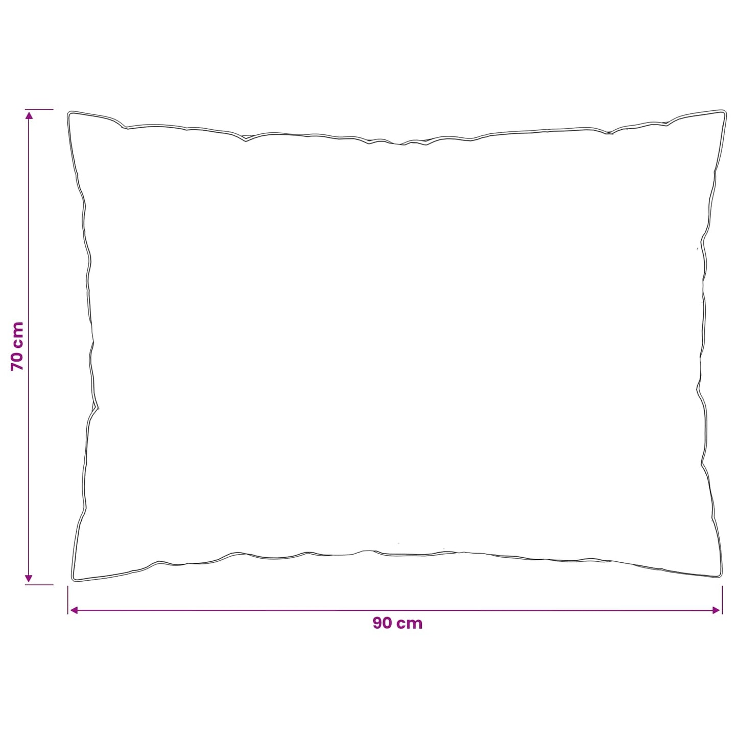 Pagalvė FULDA 2 pcs 70 x 90 cm 100% žąsų pūkai ir plunksnos