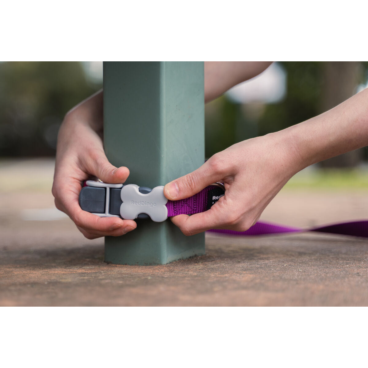 V8H4B99A93693238858FAD3498895CBABE8R3627661P2