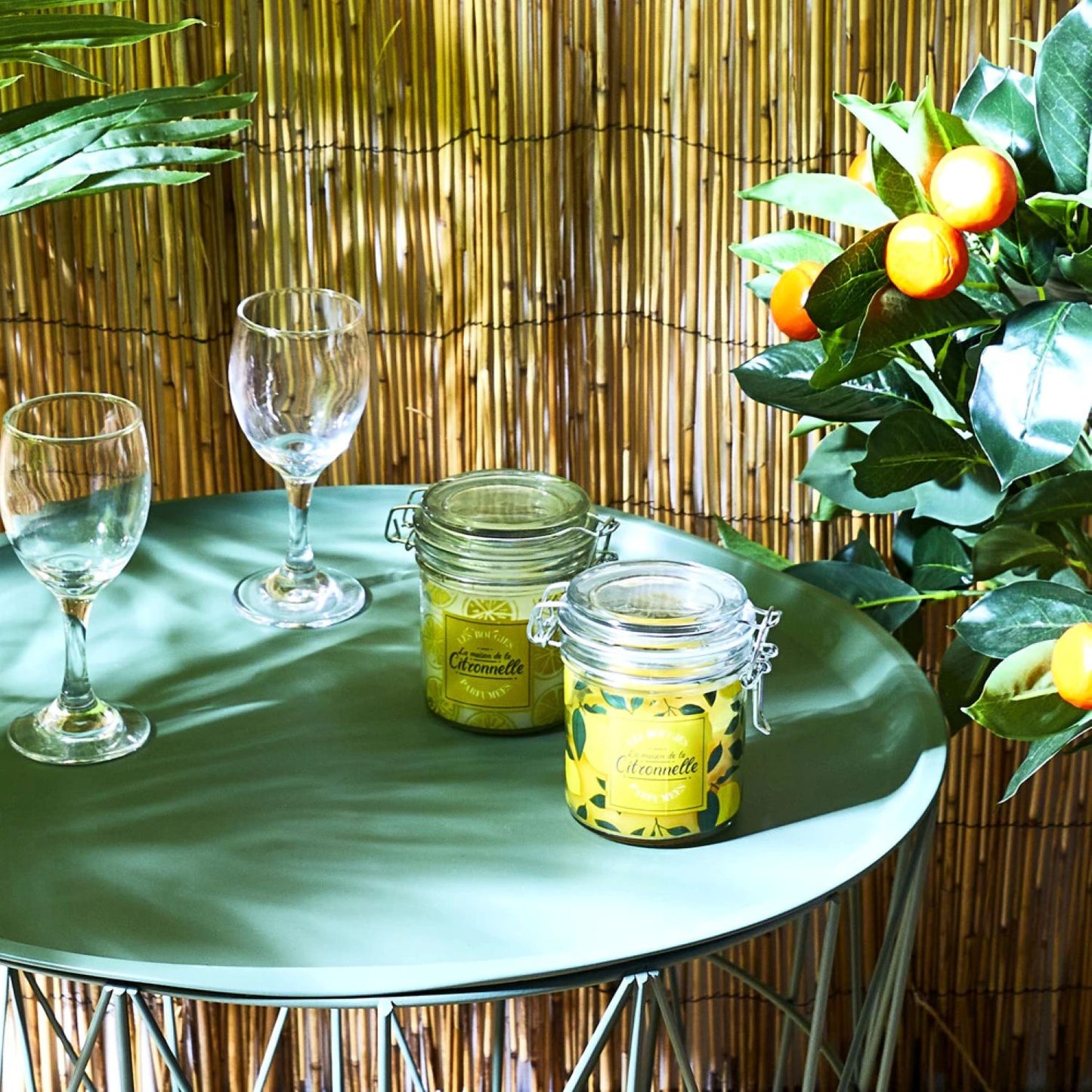 Citronella kvapioji žvakė su užspaudžiamu dangteliu (1 vnt.)
